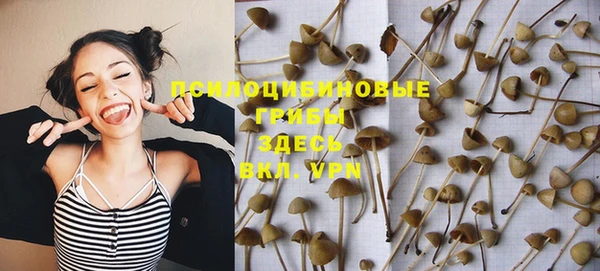метадон Чердынь