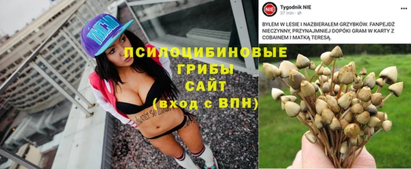 метадон Чердынь