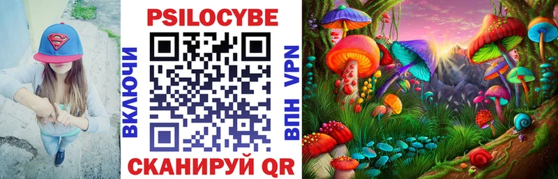 купить наркоту  Рубцовск  Псилоцибиновые грибы Psilocybine cubensis 