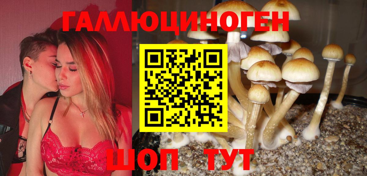 купить наркотики цена  Галлюциногенные грибы мицелий  Вход с VPN  Рубцовск 